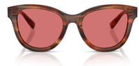 Gafas de sol Dolce & Gabbana DG4533