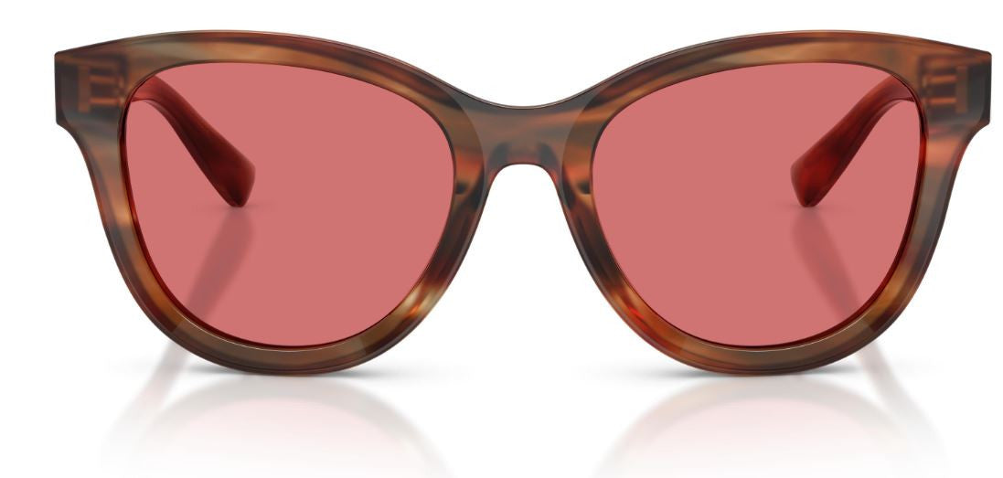 Gafas de sol Dolce & Gabbana DG4533