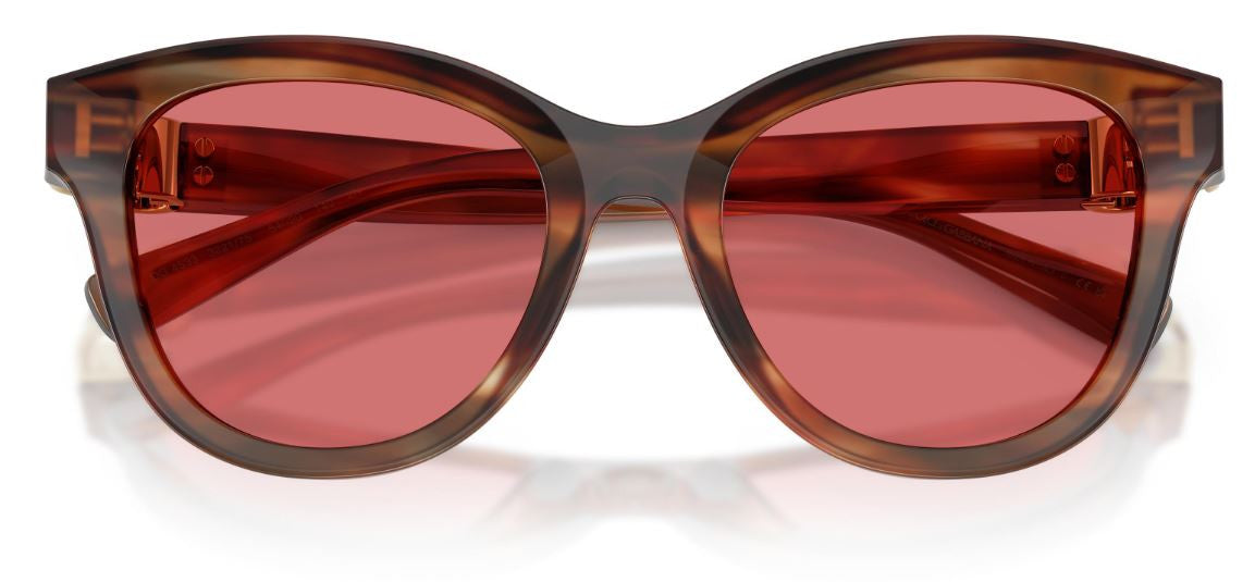 Gafas de sol Dolce & Gabbana DG4533
