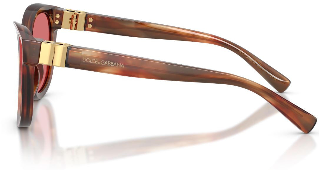 Gafas de sol Dolce & Gabbana DG4533