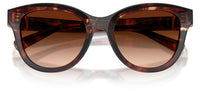 Gafas de sol Dolce & Gabbana DG4533