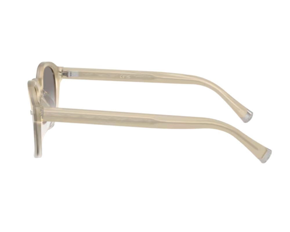Brunello Cucinelli BC4006S Sunglasses