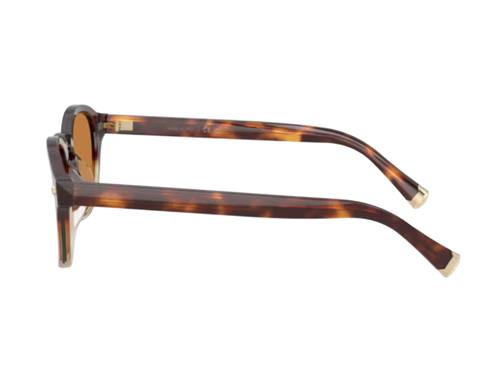 Brunello Cucinelli BC4006S Sunglasses