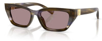 Dolce & Gabbana DG4532 Sunglasses