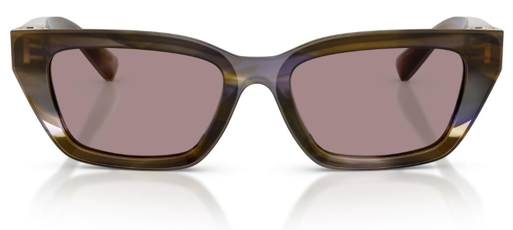 Dolce & Gabbana DG4532 Sunglasses