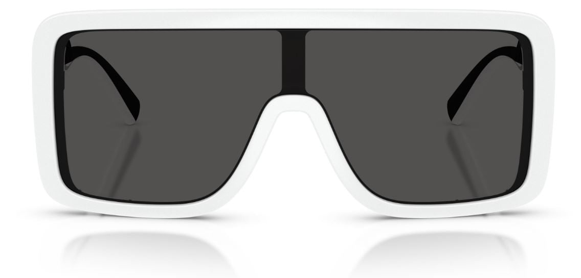 Gafas de Sol Dolce & Gabbana DG6204
