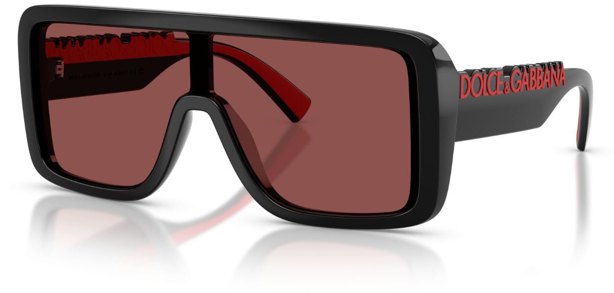 Gafas de Sol Dolce & Gabbana DG6204