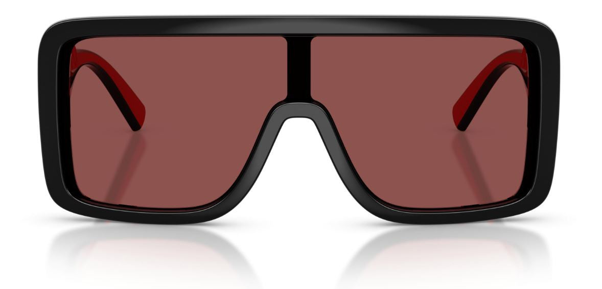 Gafas de Sol Dolce & Gabbana DG6204