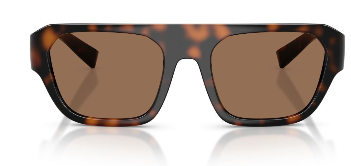 Dolce & Gabbana DG6206 Sunglasses