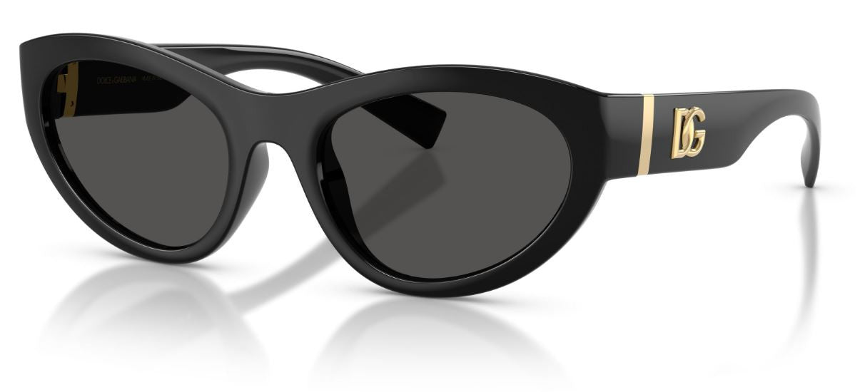 Dolce & Gabbana DG6207 Sunglasses