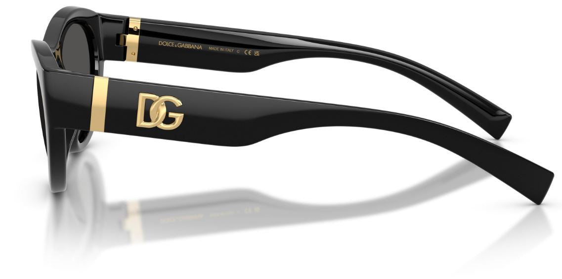 Dolce & Gabbana DG6207 Sunglasses
