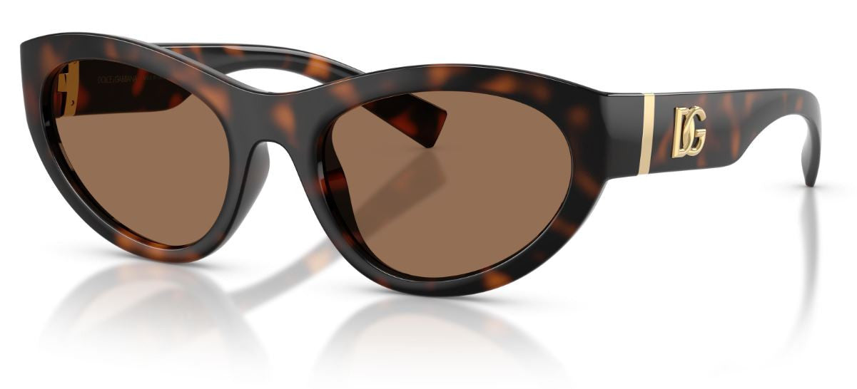 Dolce & Gabbana DG6207 Sunglasses