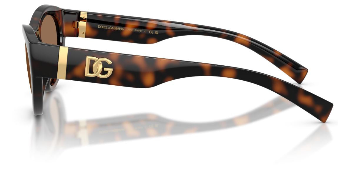 Dolce & Gabbana DG6207 Sunglasses