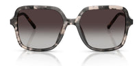 Dolce & Gabbana DG4539 Sunglasses