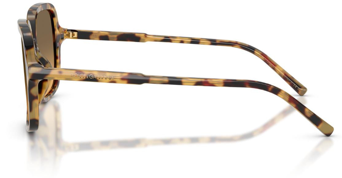 Dolce & Gabbana DG4539 Sunglasses