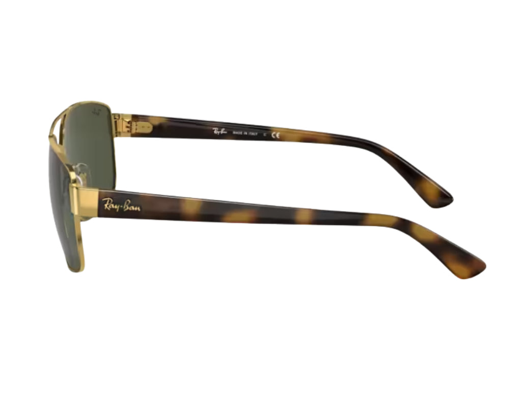 Ray-Ban RB3663 Sunglasses