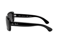 Ray-Ban RB4101 Sunglasses