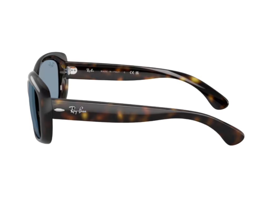 Ray-Ban RB4101 Sunglasses
