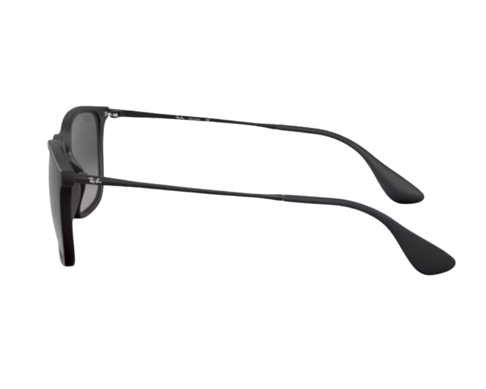 Ray-Ban Chris RB4187 Sunglasses