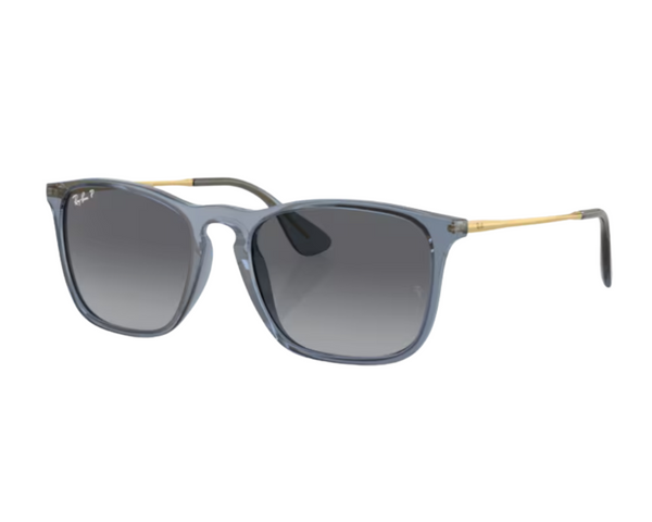 Ray-Ban Chris RB4187 Sunglasses