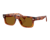 Brunello Cucinelli BC4028S Sunglasses