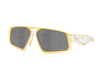 Oakley Massillon OO6029 Sunglasses