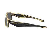 Oakley Massillon OO6029 Sunglasses