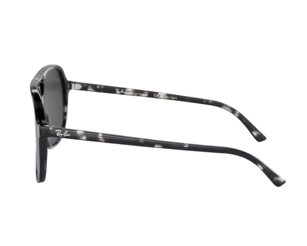 Zonnebril Ray-Ban Bill RB2198
