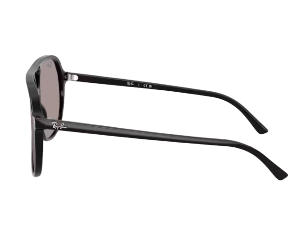 Zonnebril Ray-Ban Bill RB2198