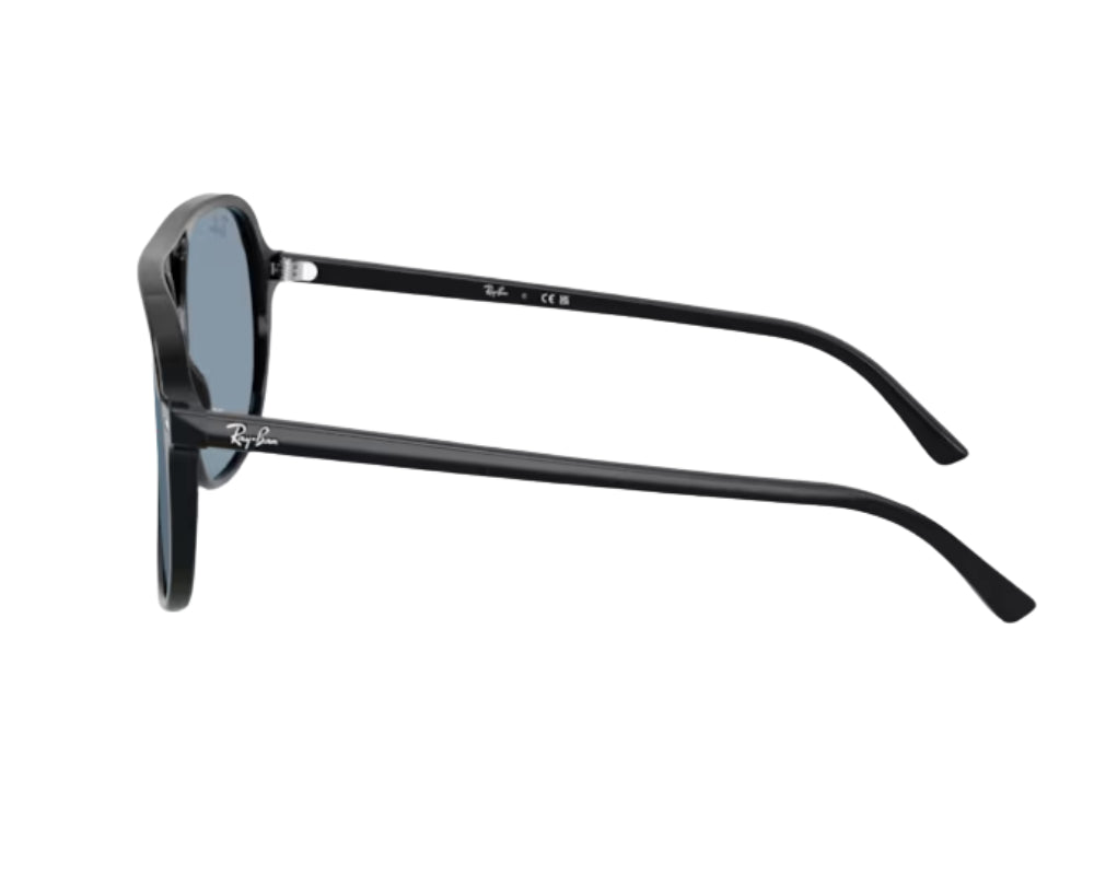 Zonnebril Ray-Ban Bill RB2198
