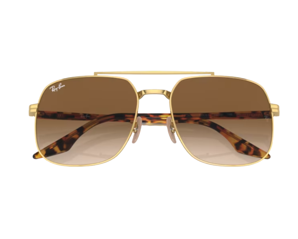 Ray-Ban RB3699 Sunglasses
