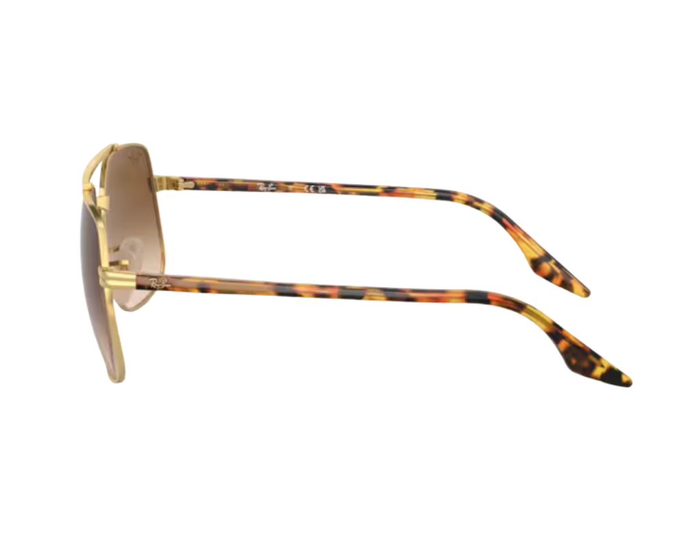 Ray-Ban RB3699 Sunglasses