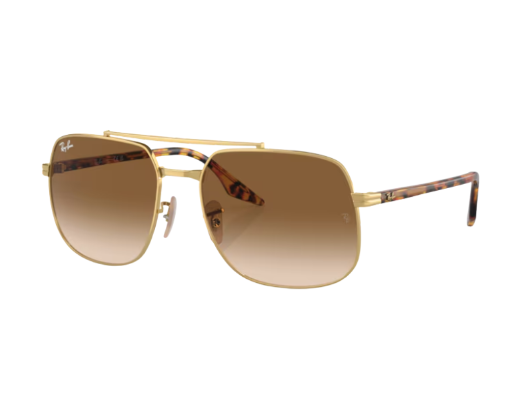 Ray-Ban RB3699 Sunglasses
