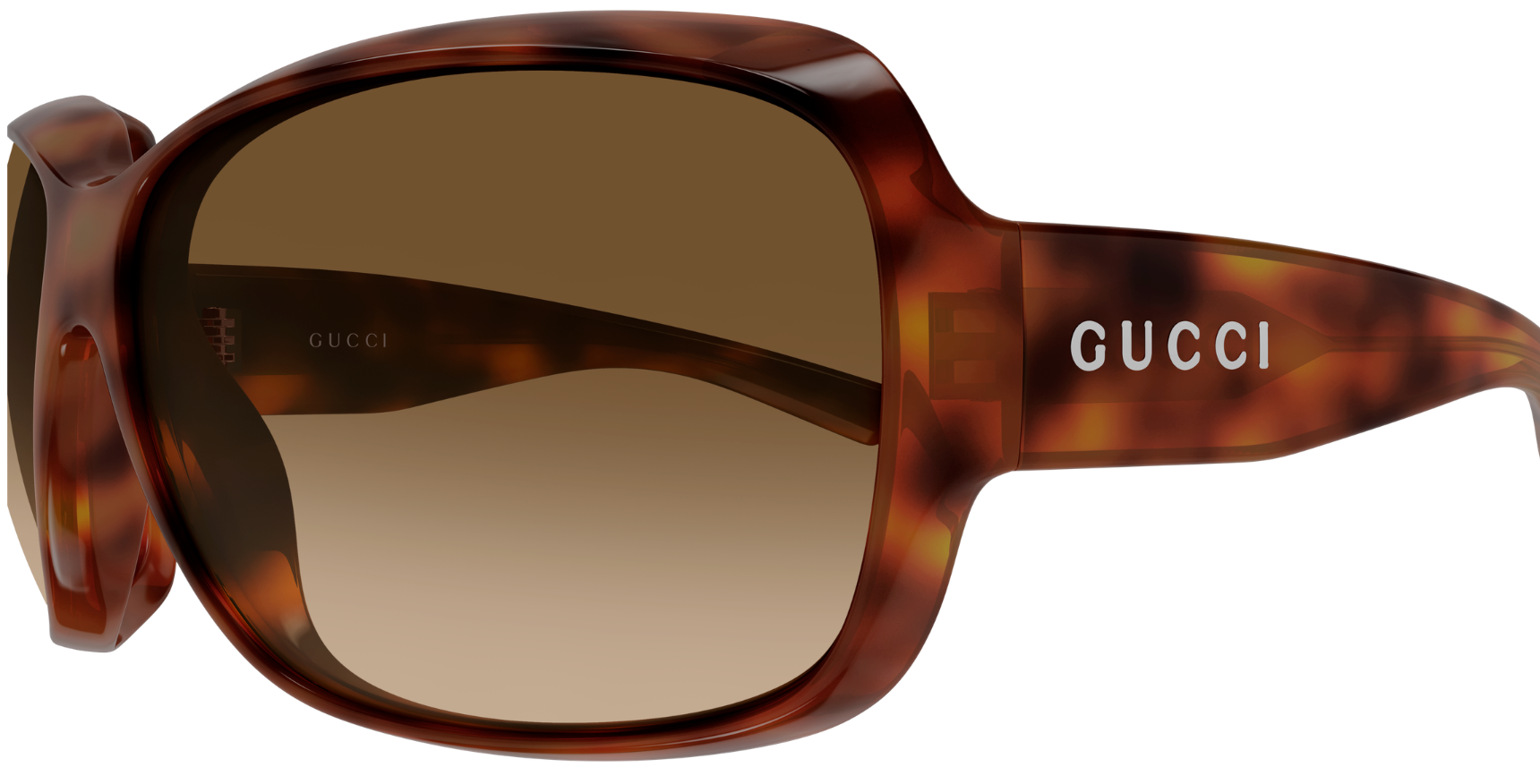 Gucci Logo GG2176S Sunglasses