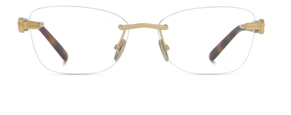 Bril op sterkte Fred Chance Infinie FG50098U