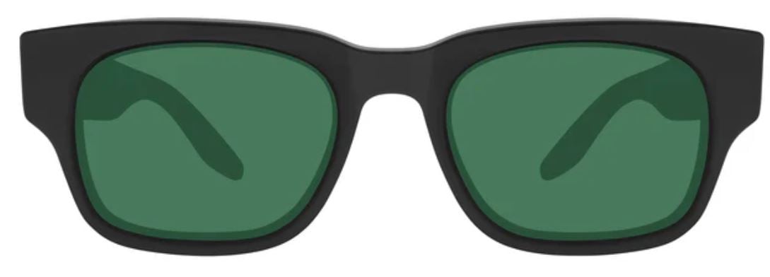 Sonnenbrille Barton Perreira Dondi