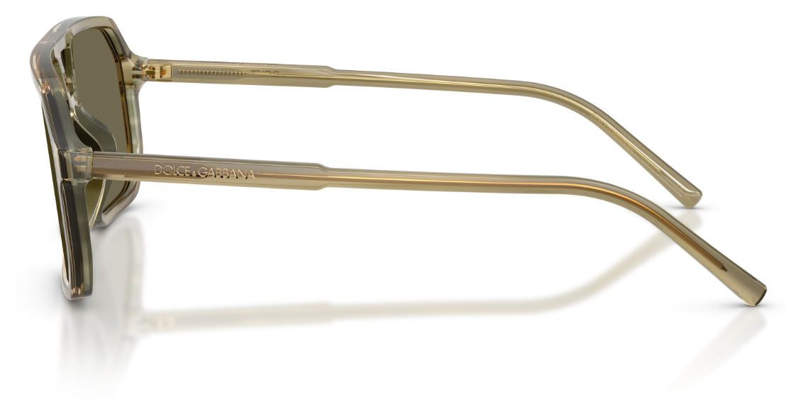Gafas de sol Dolce & Gabbana DG4541