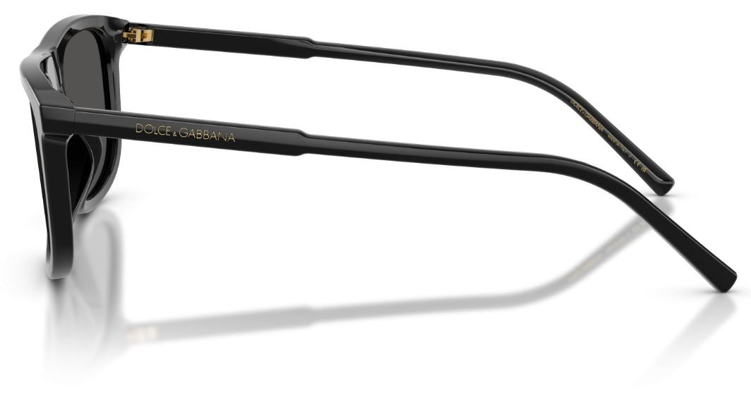 Dolce & Gabbana DG4542 Sunglasses