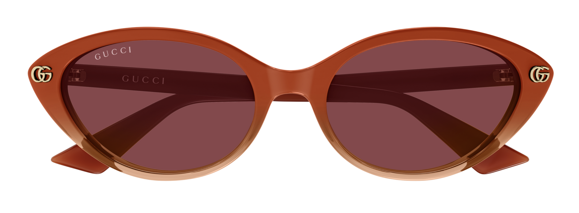 Sonnenbrille Gucci Emblem GG2110S