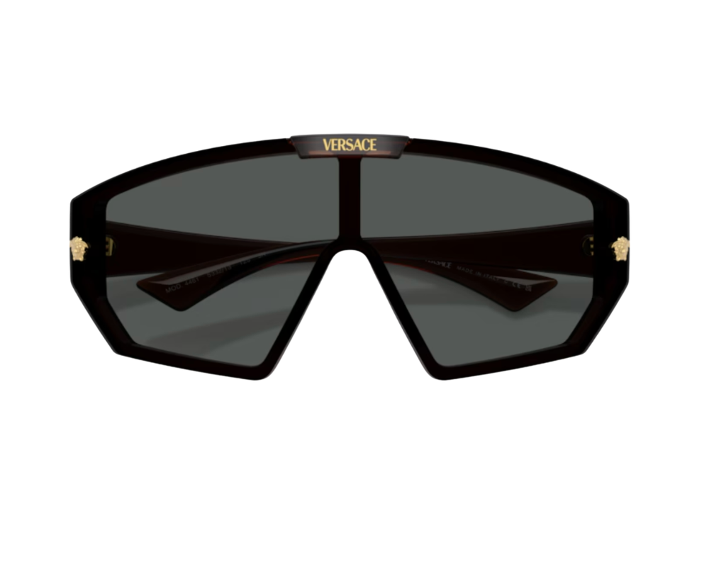 Lunettes de soleil Versace Medusa Horizon VE4461
