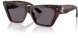 Jimmy Choo JC5062U Sunglasses