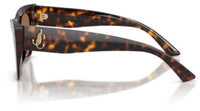 Jimmy Choo JC5062U Sunglasses