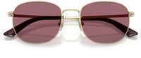 Jimmy Choo JC4025B Sunglasses