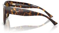 Jimmy Choo JC5047B Sunglasses