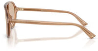 Jimmy Choo JC5055U Sunglasses
