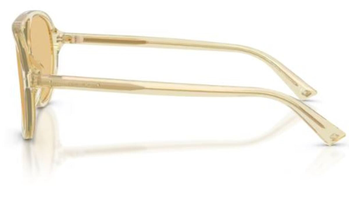 Jimmy Choo JC5055U Sunglasses