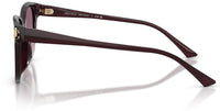 Jimmy Choo JC5057D Sunglasses