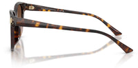 Jimmy Choo JC5057D Sunglasses