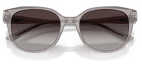 Jimmy Choo JC5057D Sunglasses