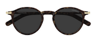 Montblanc Snowcap MB0461S Sunglasses